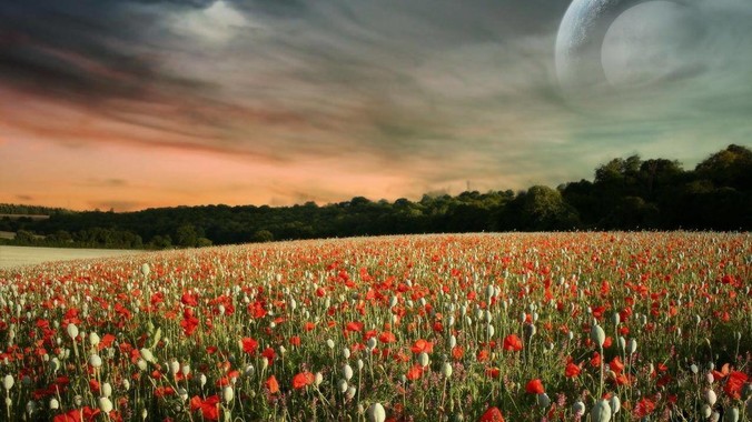 为什么很多男人都喜欢大胸的女生？